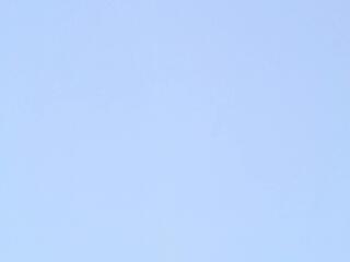 Francheska Hansen flirt4free stream image, 27.03.2026 23:20