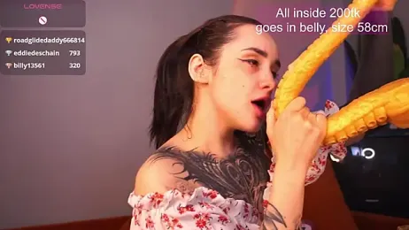 EvaCanton stripchat stream image