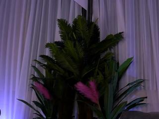 Esme Luv flirt4free stream image, 07.03.2025 21:30