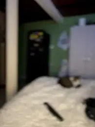 Laura-Khalifa stripchat stream image, 02.04.2026 06:20