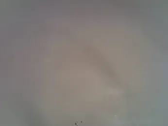 Rasta_tattooed stripchat stream image