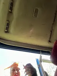 krysstal003 stripchat stream image