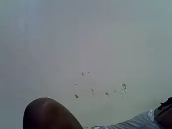 Rasta_tattooed stripchat stream image