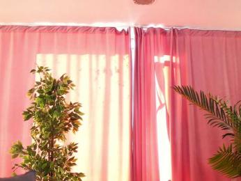 ArtTeasee bongacams stream image, 08.03.2025 09:50