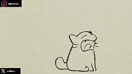 zoneboys stripchat stream image, 09.04.2026 22:40