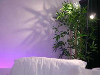 ArtTeasee bongacams stream image, 15.04.2026 05:40