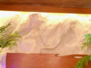 alison-mooon camsoda stream image, 21.04.2026 22:10