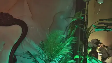 Amanda_River stripchat stream image, 25.04.2026 20:00