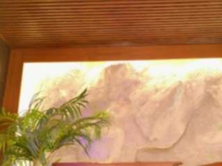 alison-mooon camsoda stream image, 27.04.2026 23:10