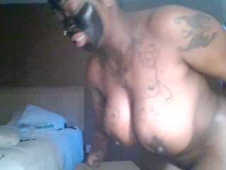 stalliontheesavage camsoda stream image