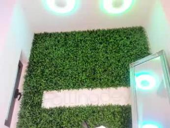 hotfallingdevil chaturbate stream image, 02.06.2026 04:00
