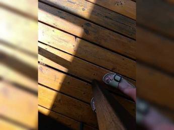Angelia22 bongacams stream image, 22.07.2026 06:40