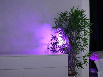 ArtTeasee bongacams stream image, 29.07.2026 07:00