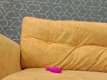 plumhaze bongacams stream image, 05.08.2026 04:20