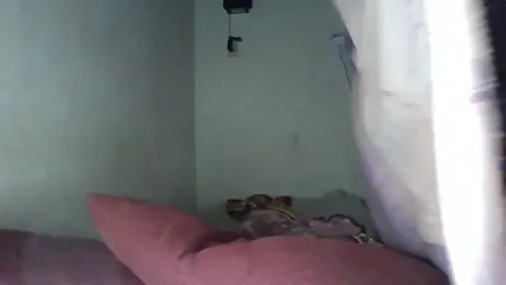 thasmyni stripchat stream image