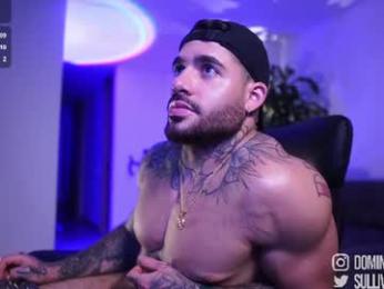 dominic_sullivan1 chaturbate stream image, 07.10.2026 04:50