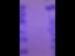 sarahpeterson camsoda stream image, 15.03.2025 20:20