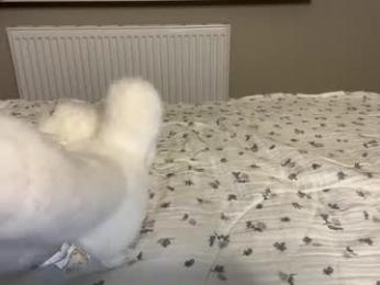 endlessmia chaturbate stream image