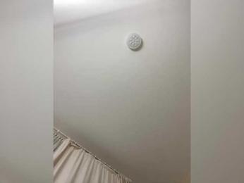 OBAYASHA bongacams stream image