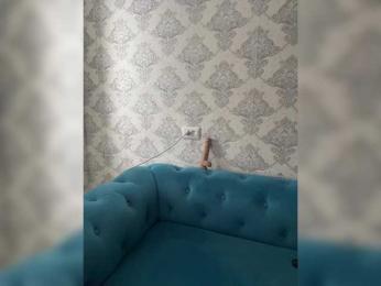 praesertim bongacams stream image, 03.02.2025 06:10