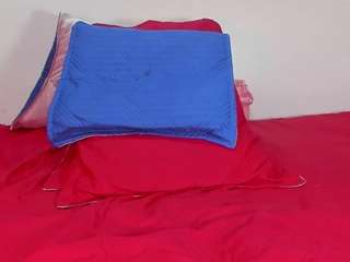 bss-naia camsoda stream image, 19.03.2025 19:10