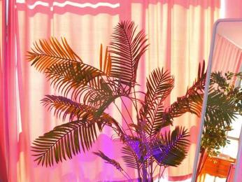 ArtTeasee bongacams stream image, 20.03.2025 09:30