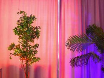 ArtTeasee bongacams stream image, 27.03.2025 09:50
