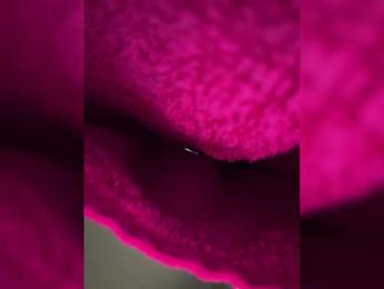 BabyDarii bongacams stream image, 04.04.2025 12:30