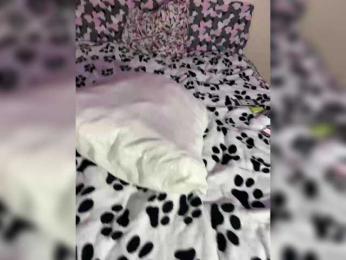 millemimi bongacams stream image, 07.04.2025 23:20