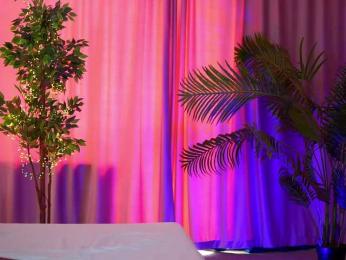 ArtTeasee bongacams stream image, 09.04.2025 08:30
