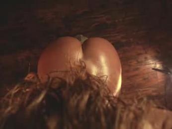 heybanan chaturbate stream image