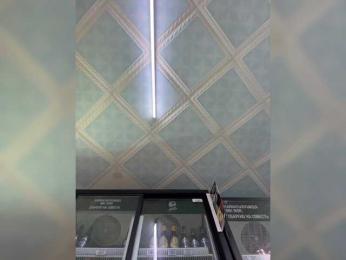 praesertim bongacams stream image, 19.04.2025 23:50