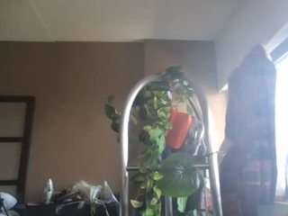 stalliontheesavage camsoda stream image