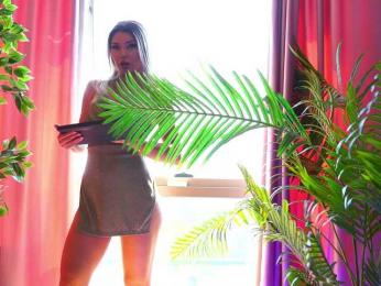 ArtTeasee bongacams stream image, 25.04.2025 07:30
