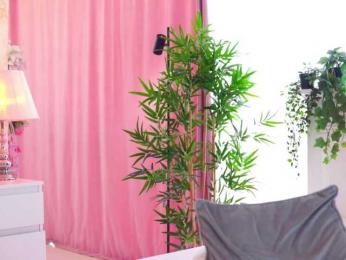 ArtTeasee bongacams stream image, 28.04.2025 08:50