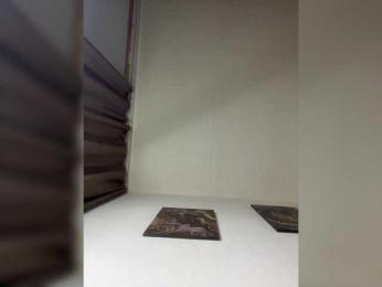 MaryModel bongacams stream image