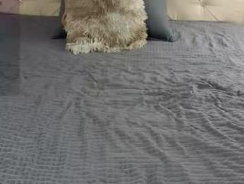 freyabyrne chaturbate stream image, 01.05.2025 03:50