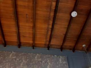 steffanybeckk camsoda stream image