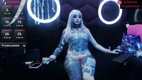 TyphoidMary stripchat stream image, 13.05.2025 00:10